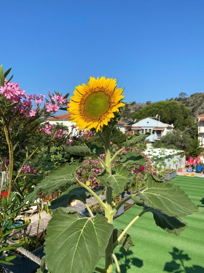 On Oda Oludeniz 호텔 외부 사진